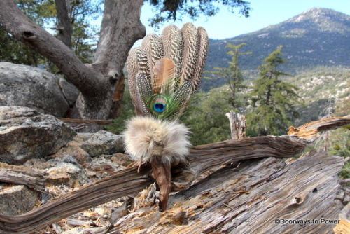Turkey Smudge Fan with Peacock Parrot