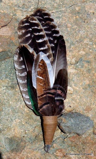 Turkey Smudge Fan w/ Tantric Twin Crystal