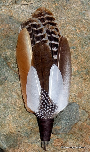 Turkey Smudge Fan with Tantric Twin Crystal