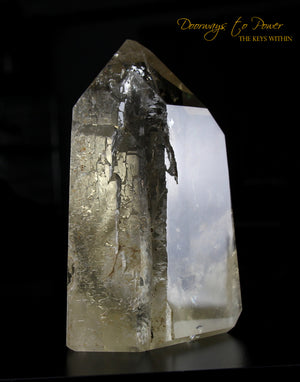 XL Citrine Cathedral Lightbrary Quartz Record Keeper Crystal