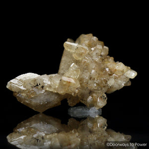 Golden Herderite Crystal Synergy 12 Stone