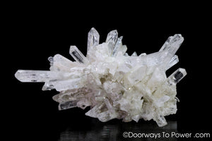 Danburite Crystals Cluster 'Rays of Light' Tantric Twin & Pleiadian Starbary