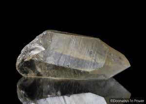 Golden Healer Lemurian Seed Quartz Starbrary Isis Crystal 'High Alchemy'