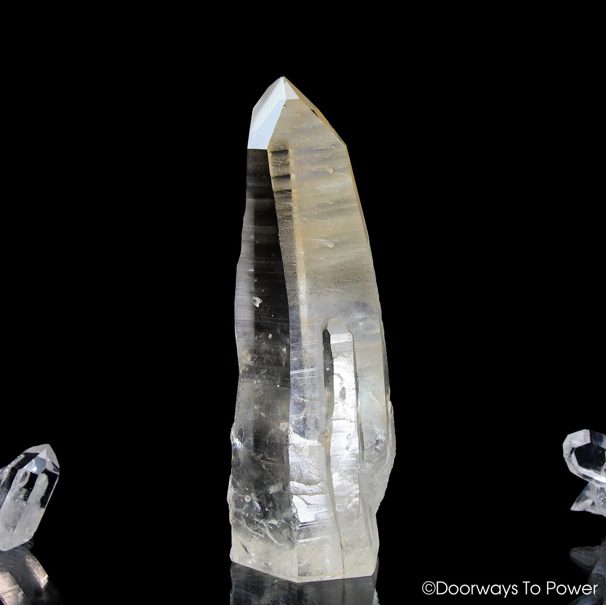 Golden Healer Lemurian Seed Pleiadian Starbrary Record Keeper Dolphin Crystal