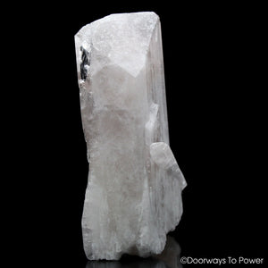Danburite Inner Child Quartz Crystal