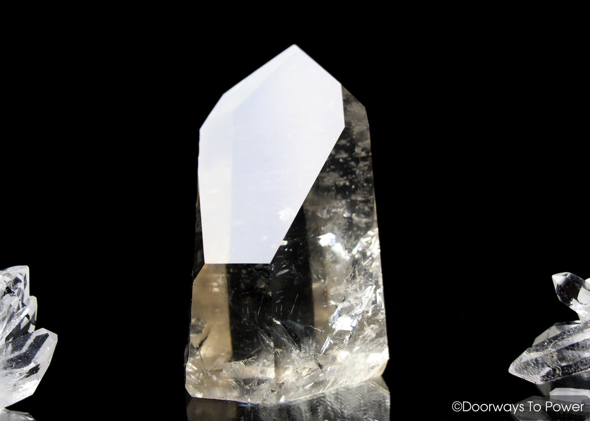 Golden Healer Lemurian Seed Sunken Record Keeper Crystal