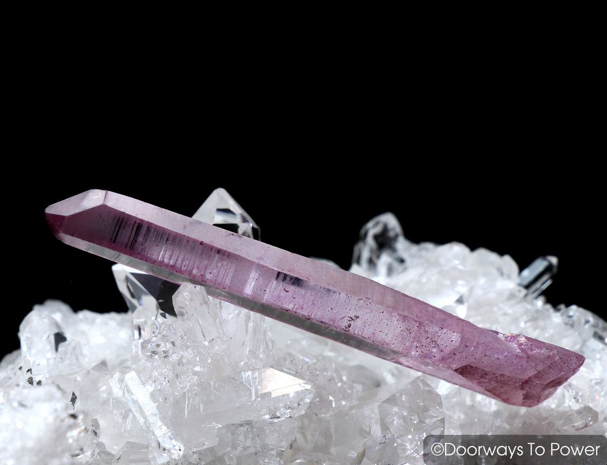 Rose Aura Lemurian Seed Quartz Pleiadian Starbrary Initiation Channeling Crystal