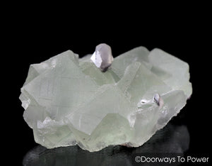 Green Fluorite with Twin Calcite Specimen A ++ Collectors Quality