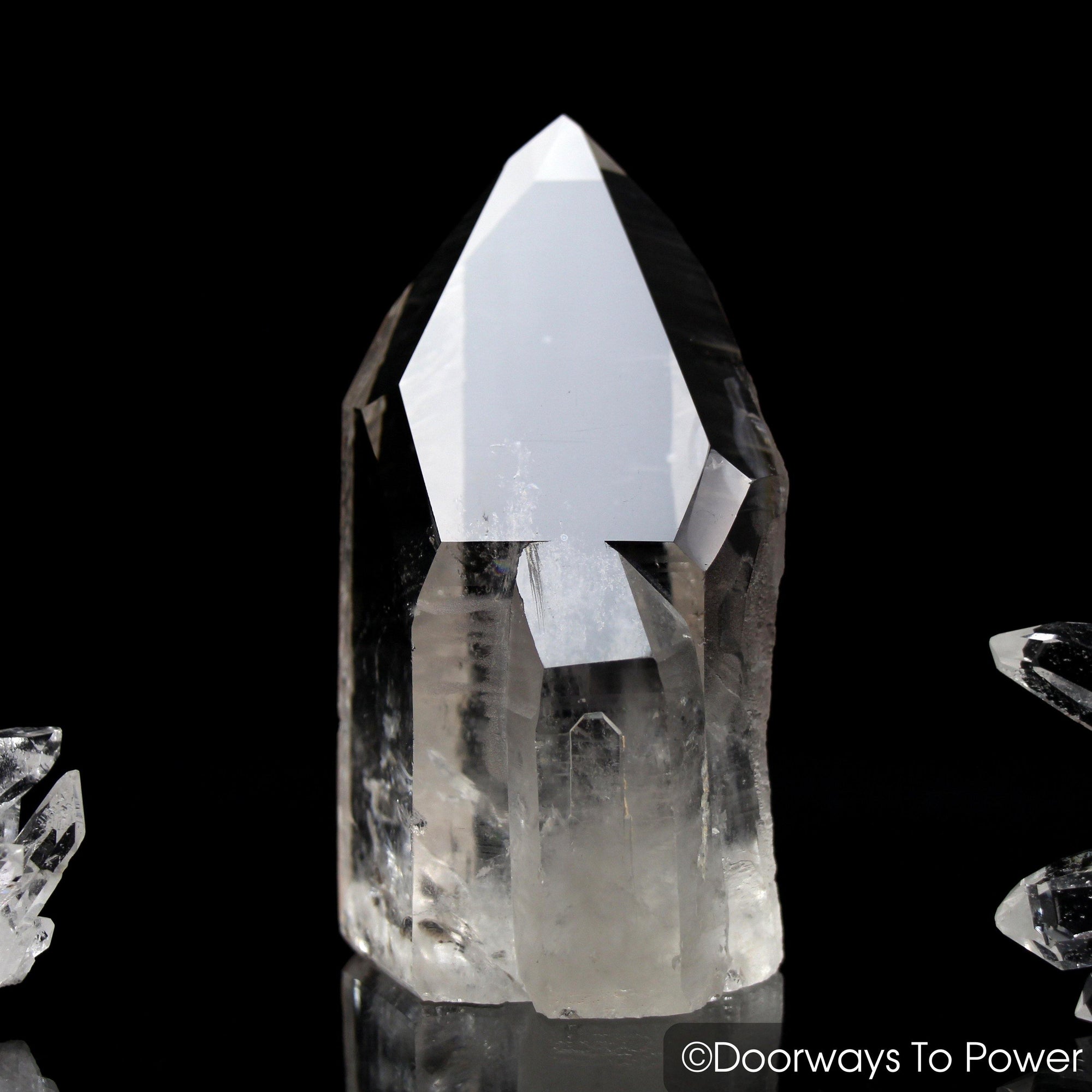 Golden Lemurian Seed Quartz Dolphin Crystal Point & Master Dow Record Keeper