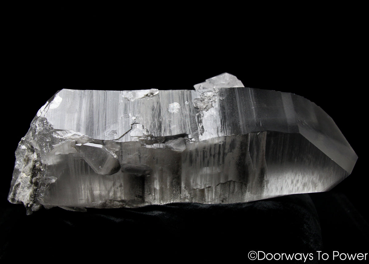 Smoky Black Phantom Lemurian Seed Quartz Inner Child Dolphin Crystal 