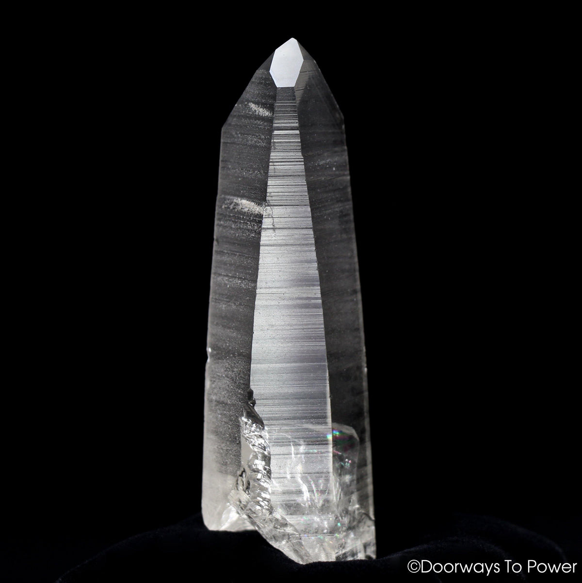 Black Phantom Lemurian Seed Quartz Crystal