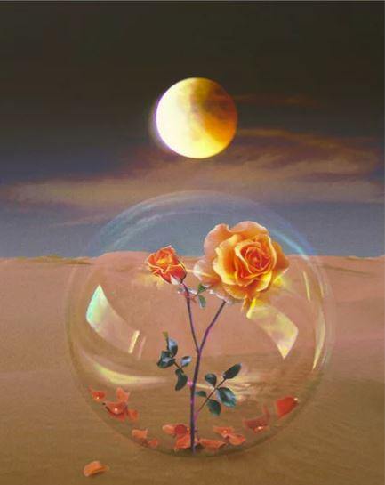 XL Desert Rose Pink Monatomic Andara Temple Crystal 'ZEN'