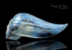 Star Traveler Crystal Skull by Leandro De Souza