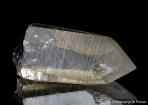 Golden Healer Lemurian Quartz Crystal