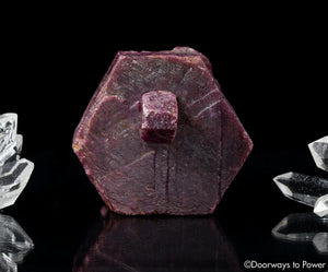 Ruby Corundum Crystal Museum Quality Specimen 