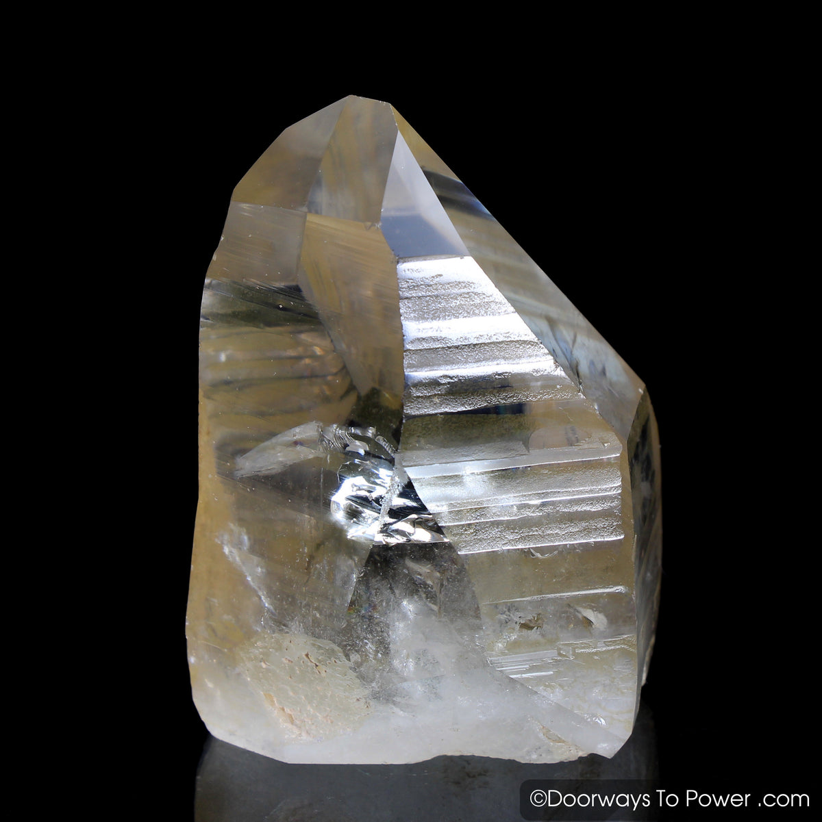 Golden Lemurian Seed Pleiadian Starbrary Record Keeper Crystal 'Connection'