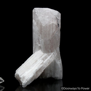 Danburite Inner Child Quartz Crystal