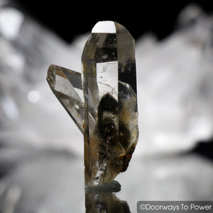 Brookite in Quartz Twin Crystal 