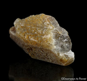 Golden Herderite Synergy 12 Stones