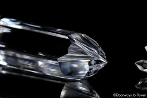 Galactic Golden Dolphin Vogel Healing Crystal Wand & Dow