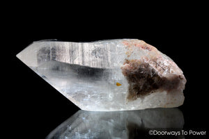 Lemurian Seed Quartz Record Keeper Crystal