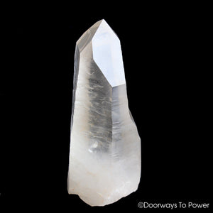 Lemurian Seed Quartz Record Keeper Crystal 