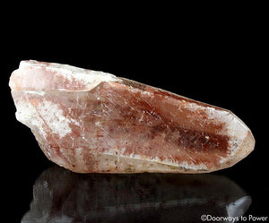 Scarlet Temple Rosetta Stone Cassiopeia Starbary Lightning Struck Lemurian Crystal