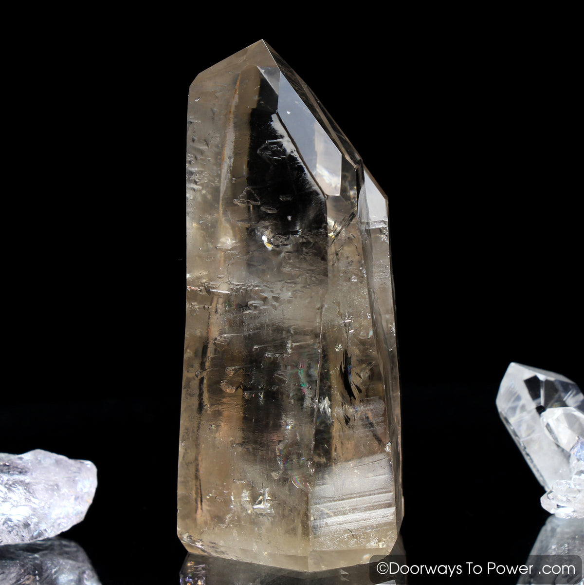 Golden Lemurian Seed Tantric Twin Record Keeper Crystal Point (RARE)