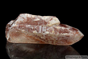 Scarlet Temple Rosetta Stone Cassiopeia Starbary Lightning Strike Lemurian Crystal