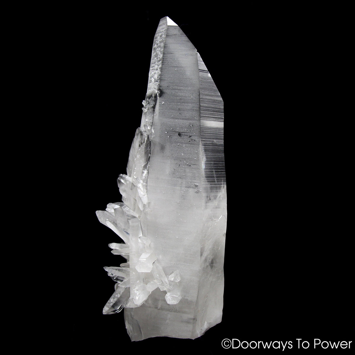 Lemurian Star Seed Quartz Crystal Record Keeper 
