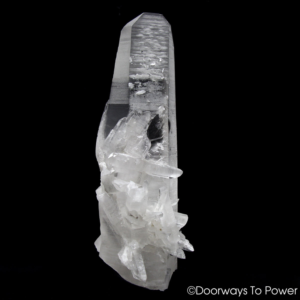 Lemurian Star Seed Quartz Crystal Record Keeper 