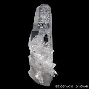 Lemurian Star Seed Quartz Crystal Record Keeper 