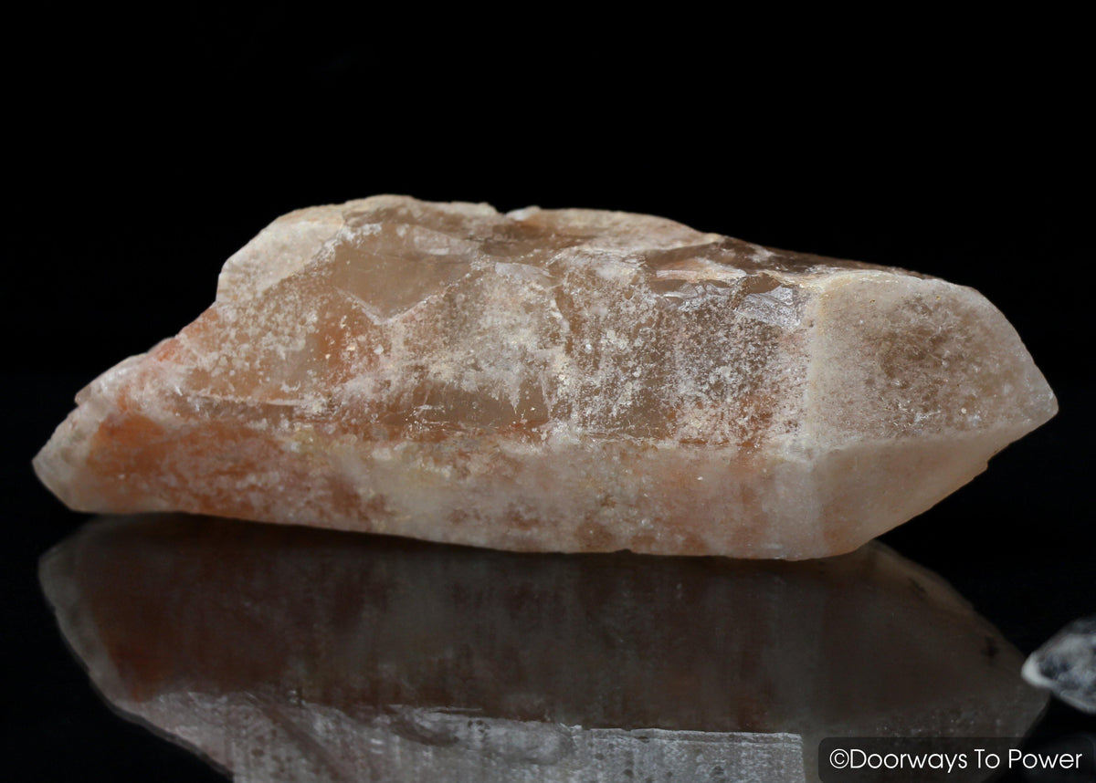 Tangerine Dreamsicle Lemurian Quartz Crystal Record Keeper 