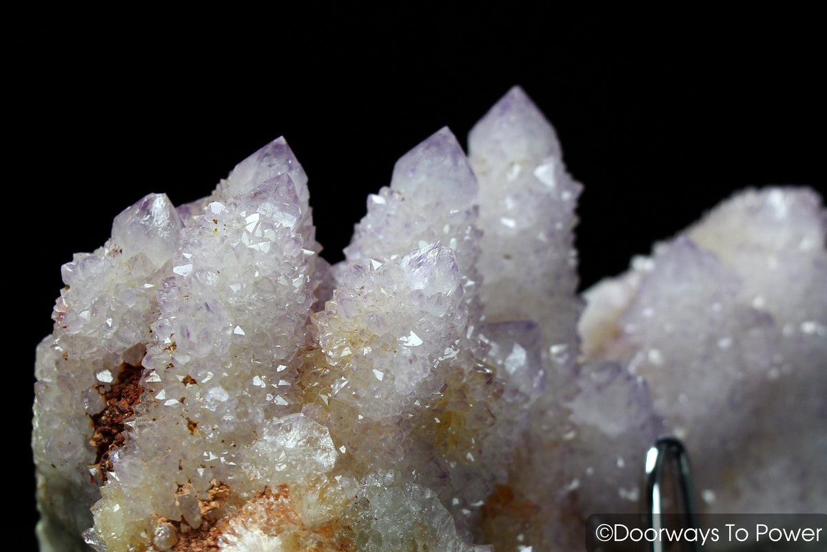 Spirit Cactus Quartz Doorways to Power