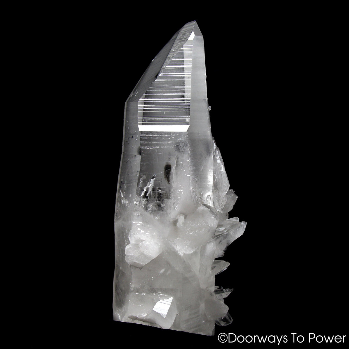 Lemurian Star Seed Quartz Crystal Record Keeper 