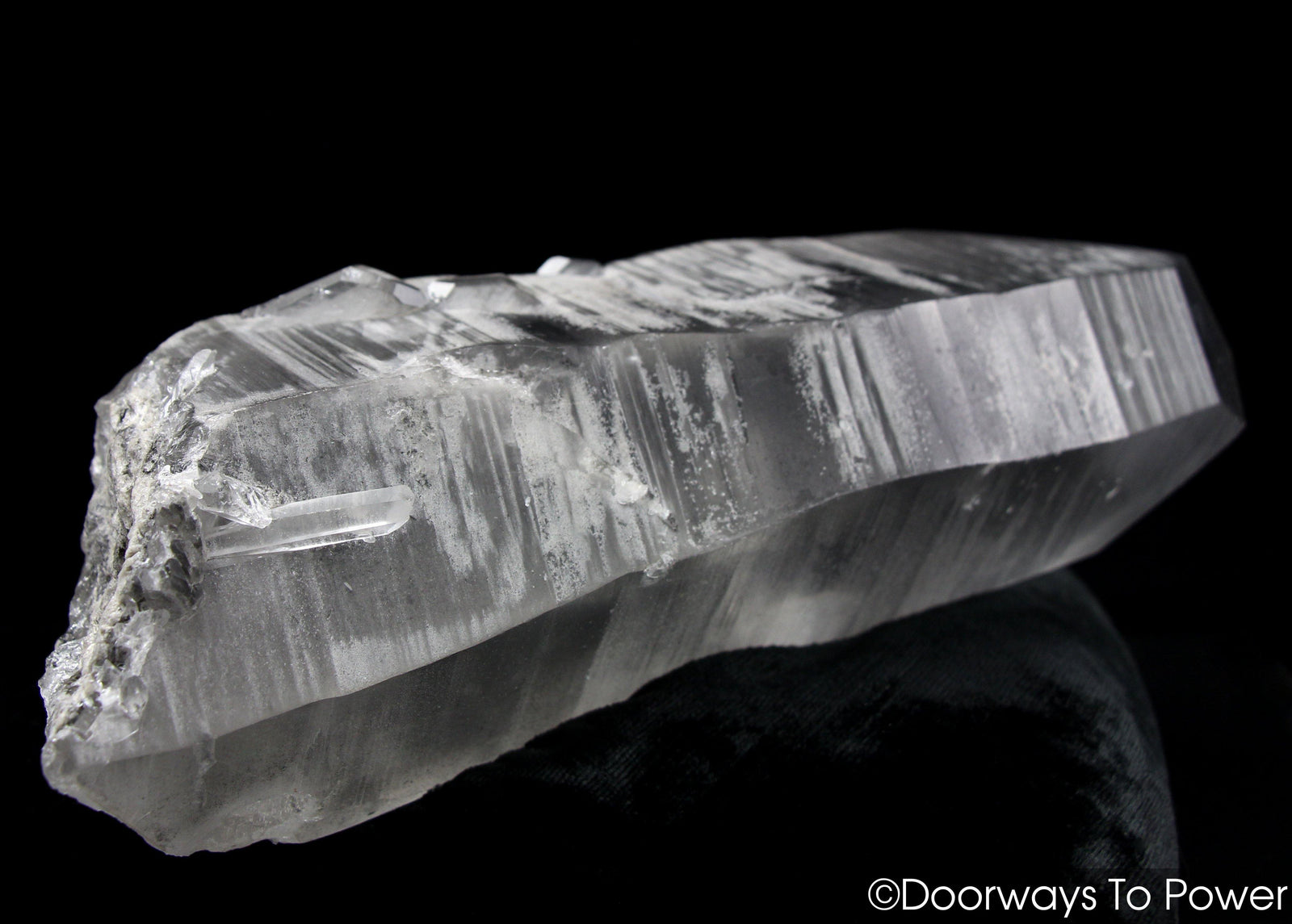 Smoky Black Phantom Lemurian Seed Quartz Inner Child Dolphin Crystal 