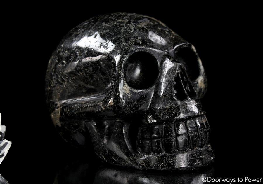 Ancient XL Nuummite Crystal Skull Rare 3 Billion Years Old