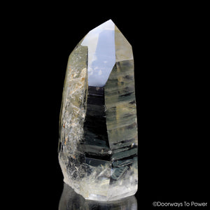 Golden Healer Lemurian Seed quartz Record Keeper Crystal Point 'Unify-er'