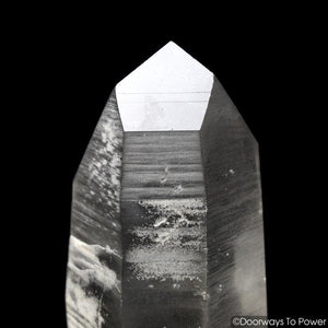 Smoky Black Phantom Lemurian Seed Quartz Inner Child Dolphin Crystal 