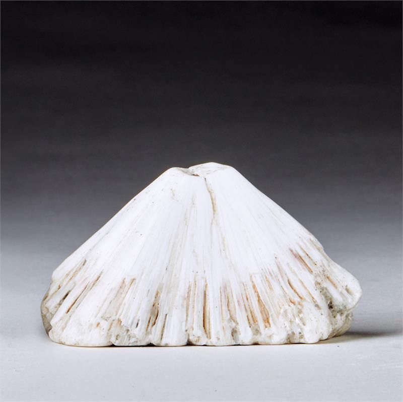 Scolecite Crystal Synergy 12 Stone