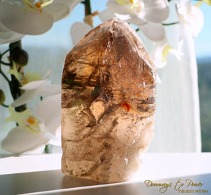 Elestial Smoky Citrine Quartz Crystal Point 'Portals of Ancient Knowledge'