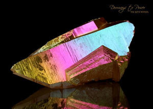 Golden Lemurian 