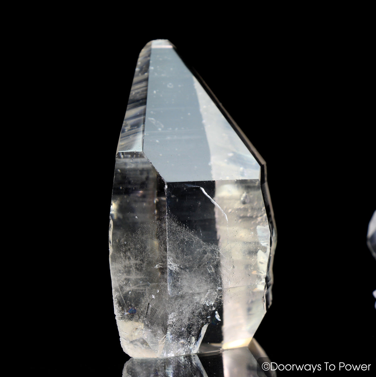 Lemurian Seed Pleiadian Starbrary Record Keeper Crystal 'Collectors Quality'