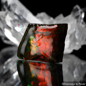 Ammolite Cabochon Gem Crystal