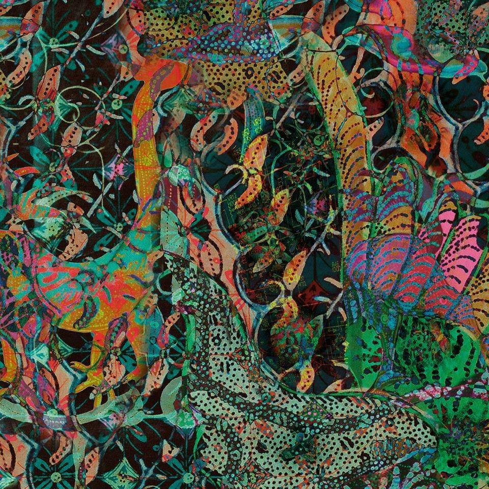 Russian Golden Phenacite Synergy 12 Crystal 'Collector Quality' RARE