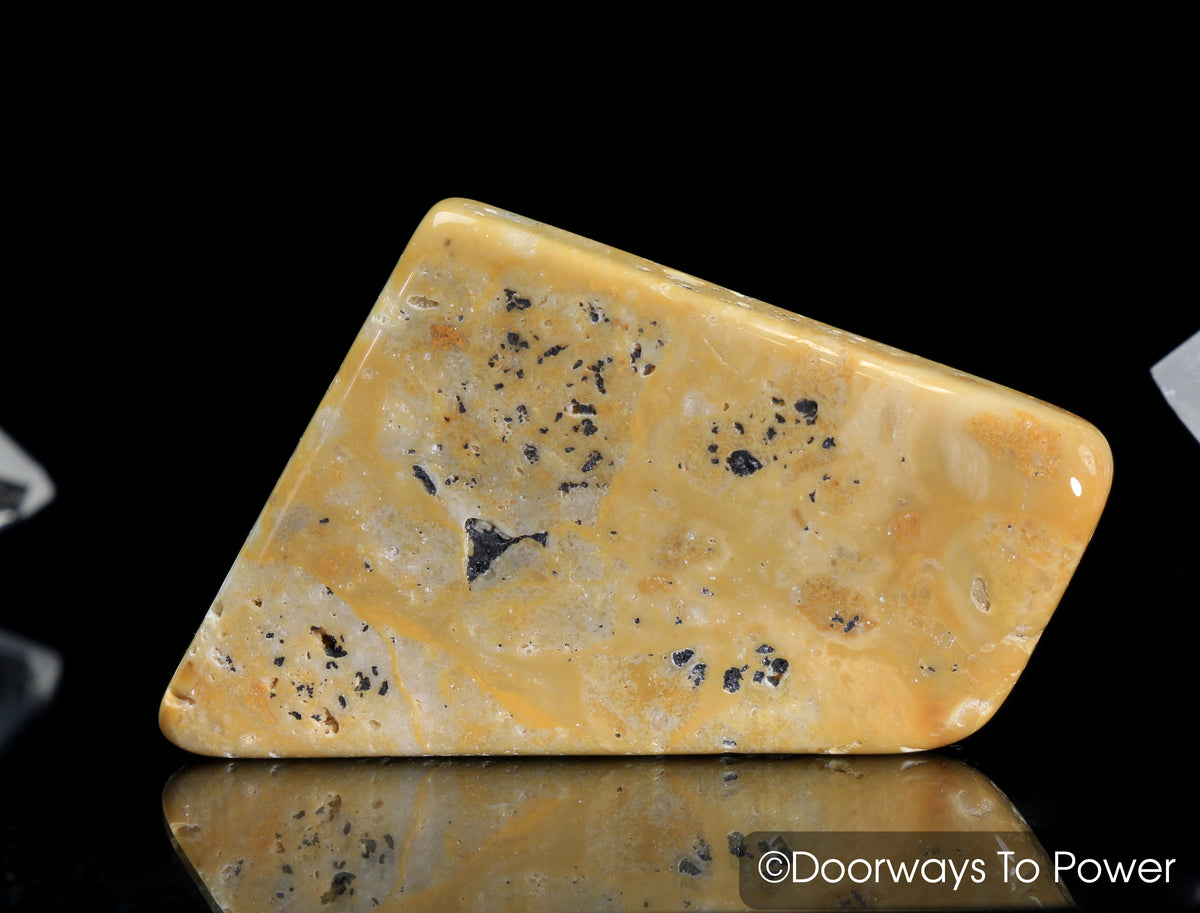 Lemurian Gold Azeztulite Quartz Crystal Tumbled & Polished