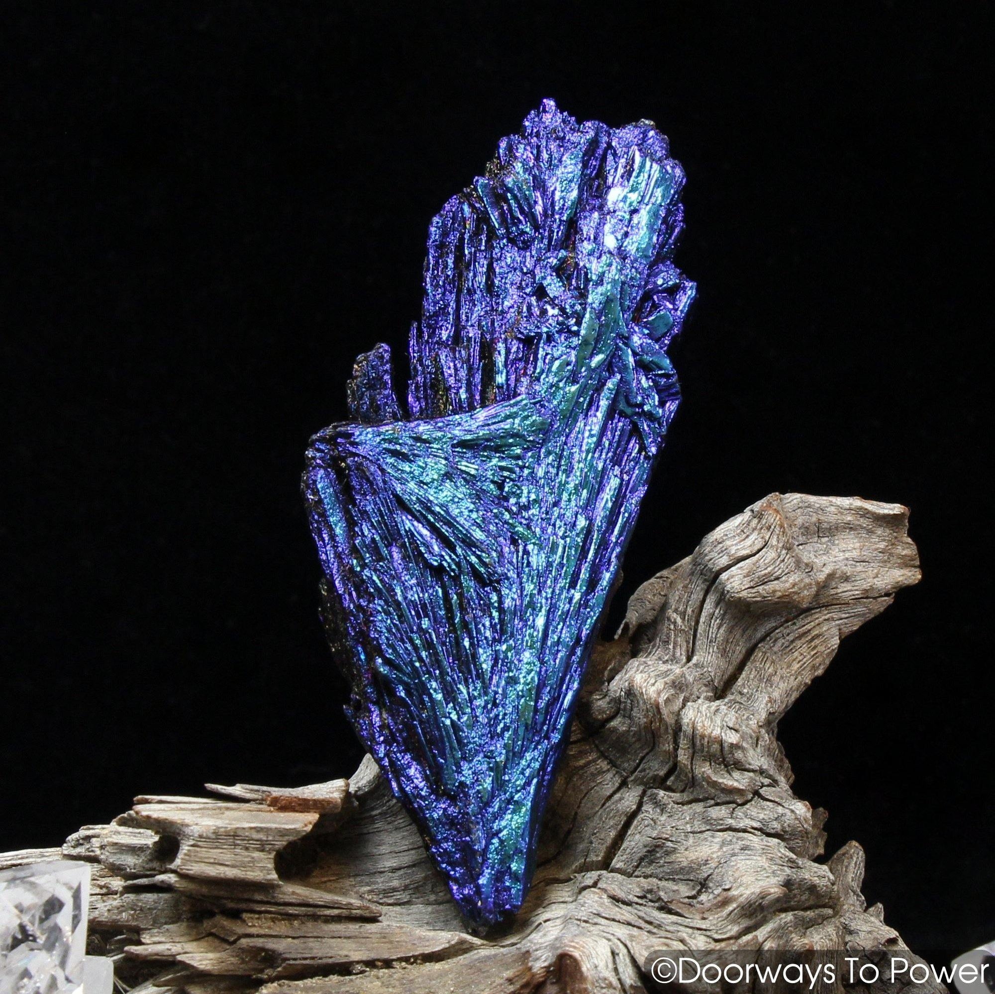 Black Kyanite Aura Angel Wing Crystal 'The Revival Stone'