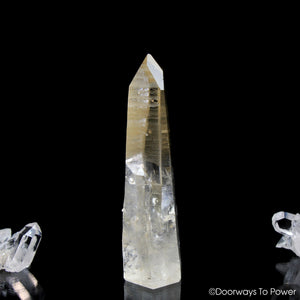 Golden Healer Lemurian Seed Pleiadian Starbrary Record Keeper Dolphin Crystal