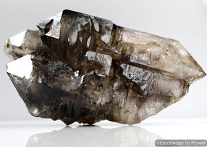 Smoky Elestial Quartz Tantric Twin Crystal Record Keeper 'Portals of Ancient Knowledge'