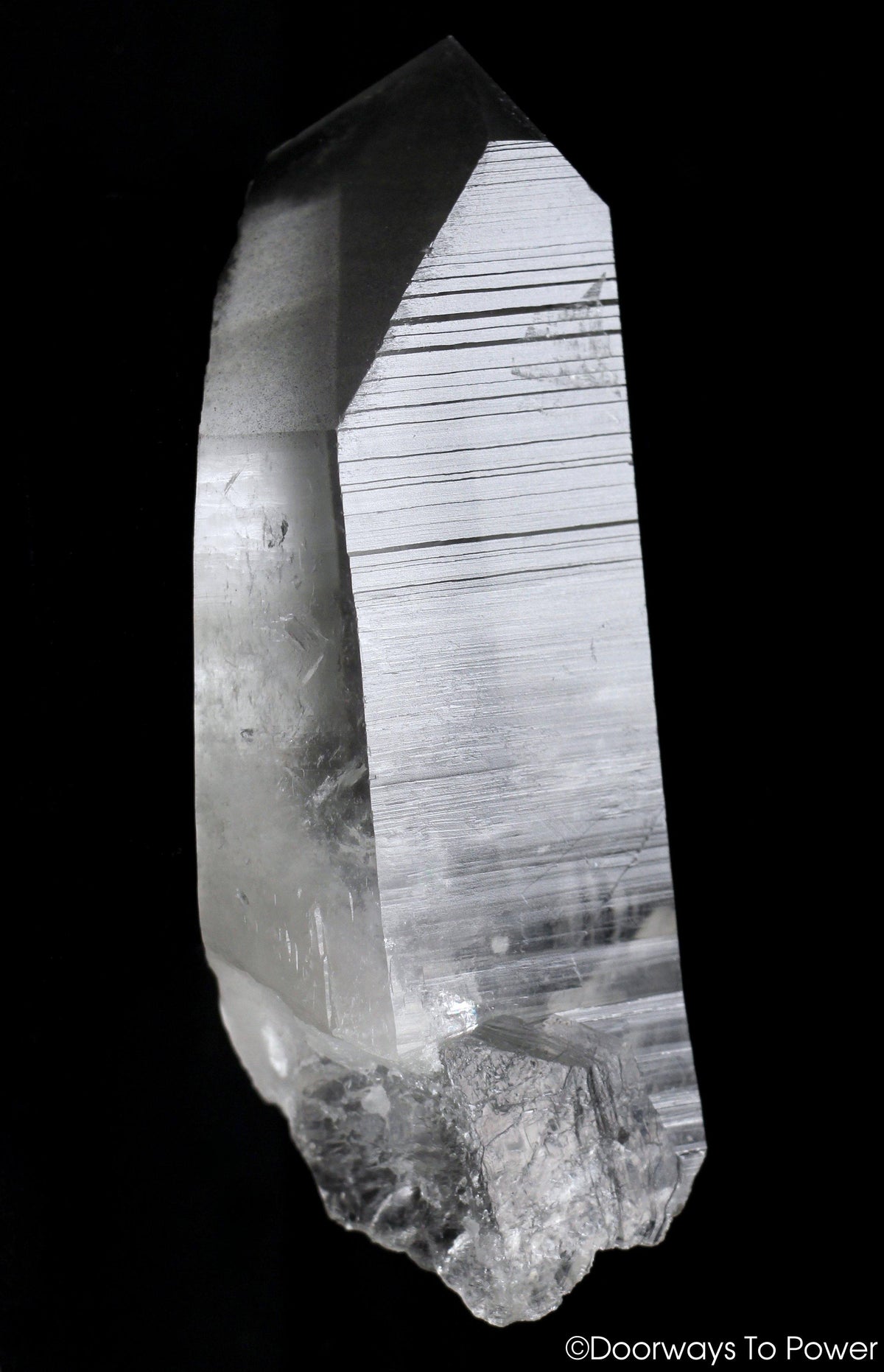 Black Phantom Lemurian Record Keeper Quartz DOW Crystal 